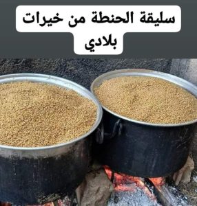 صانعة الدجن الأم السورية