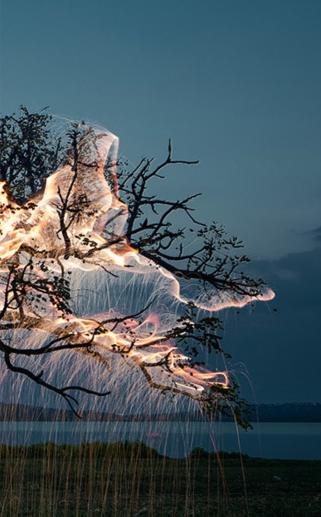 فيتور سكيتي بأشجار مضيئة.يقدم التصوير من خلال التعرض الطويل للضوء