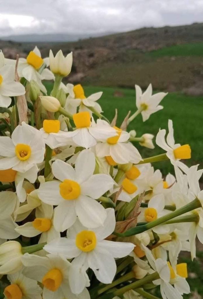 أثر الألوان على نفسية الإنسان.وكيف تمنحه الشعور بالسلام والهدوء والسكينة